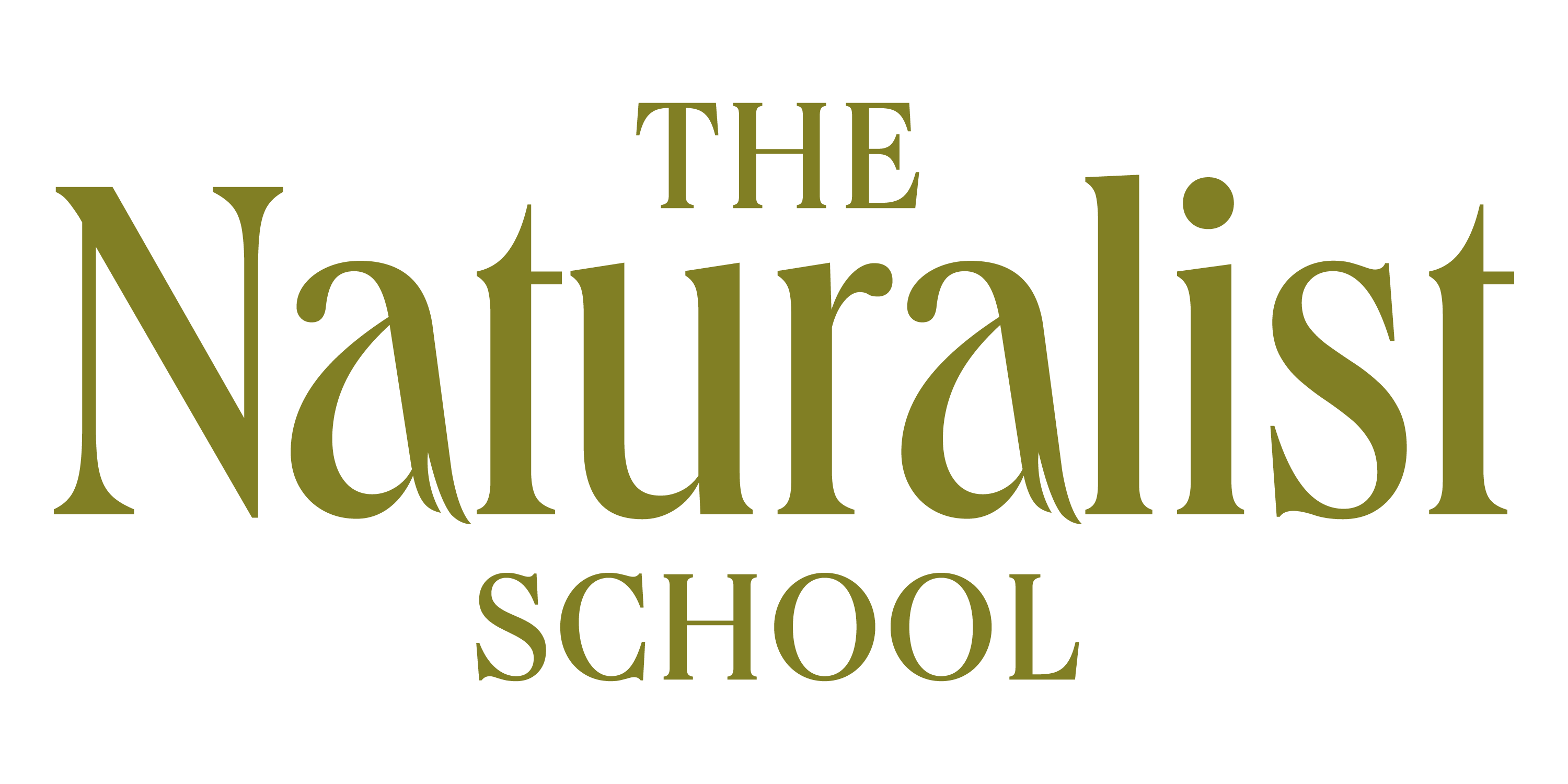 The Naturalist School Logo